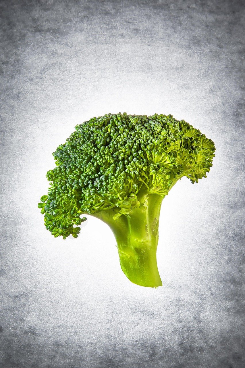 broccoli, silhouette, green, vegatable, nature, wellness, branches, broccoli, broccoli, vegatable, vegatable, vegatable, vegatable, vegatable